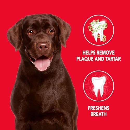Petrodex Enzymatic Dog Toothpaste, Poultry Flavor, 2.5oz