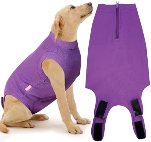 Recovery Suit for Female Dogs, Dog Cone Alternative After Spay