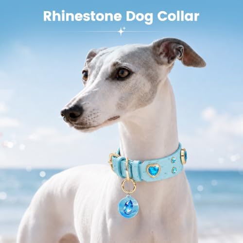 Rhinestone Dog Collar with QR ID Tag, Ostrich-Embossed, Blue, S | Crystal Dog Collar with Ostrich-Embossed Texture, Adjustable Waterproof Fit and QR Scan Pet ID for Stylish Daily Wear