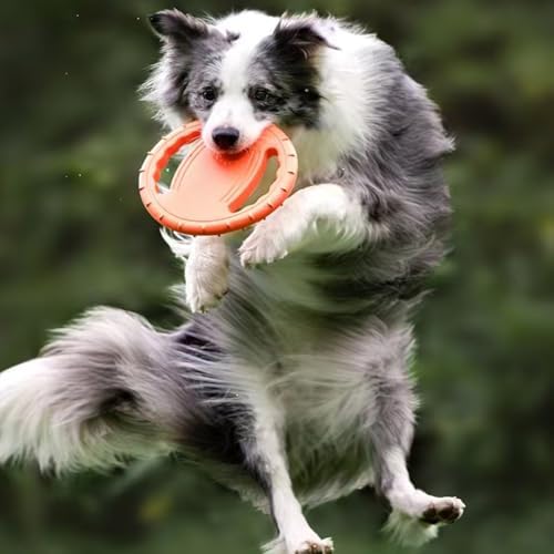 Dog Soft Flying Discs Interactive Training Toy (Orange)