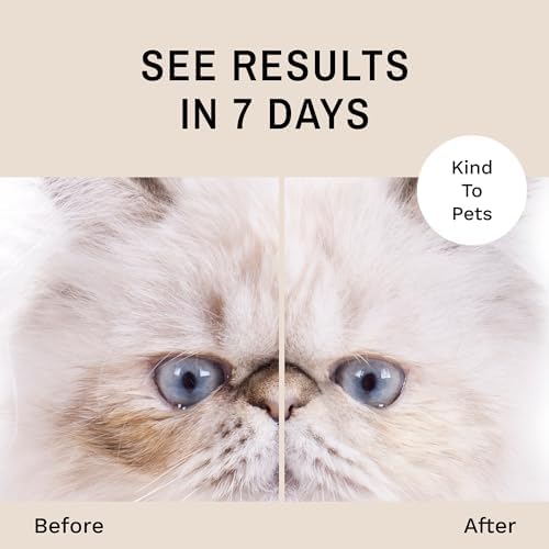 Eye Envy Tear Stain Remover Solution for Cats. Gentle, Natural and Safe. Cleans Tear Stains. Recommended by Breeders, Groomers. Remove Eye Stains from Persians and Exotics. 2 oz. Made in USA