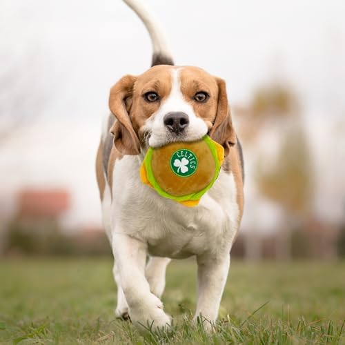 Pets First NBA Boston Celtics Cheese Burger Plush Dog & CAT Squeak Toy - Cutest Stadium HAMBERGER Snack Plush Toy for Dogs & Cats with Inner Squeaker & Beautiful Basketball Team Name/Logo, Team Color