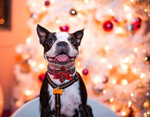 DOGWONG Christmas Dog Collar with Flower, Red Plaid Dog Collar Soft Durable Adjustable Cotton Red Tartan Puppy Collar for Small Medium Large Dog