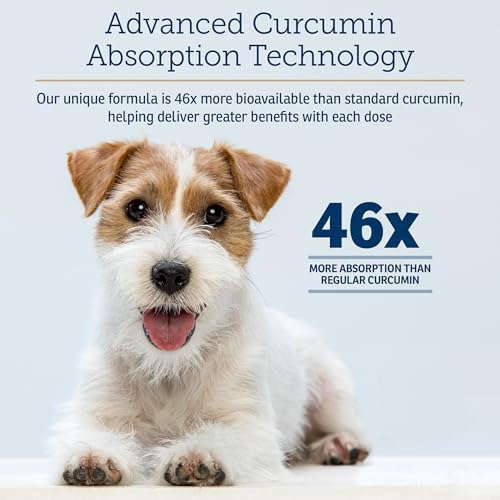 Rx Vitamins CurcuWIN - Turmeric for Dogs & Cats - 90ct