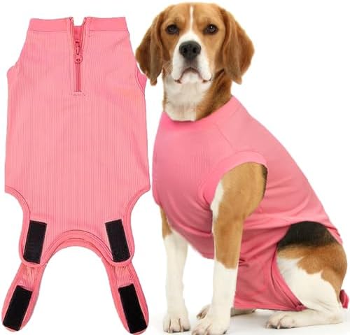 Recovery Suit for Female Dogs, Dog Cone Alternative After Spay