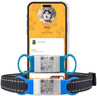 Smart Slide-On QR Code Pet Tag – Silent Dog & Cat ID Tag with Laser Engraving – Stainless Steel & Silicone – No App Needed – Custom Pet Profile – Fits Most Collars (Blue, Large)