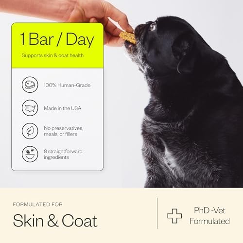 Maev Skin & Coat Supplement Bars for Dogs, with Omega-3, 30 Count (Pack of 2)