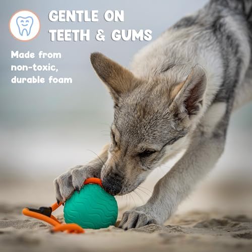 Dog Ball Toy with Rope, Durable EVA Foam Floating Dog Toy, Interactive Fetch & Toss n’ Train Tug Ball for Dogs, Bouncy Pet Ball for Outdoor Indoor Play - Green, Medium