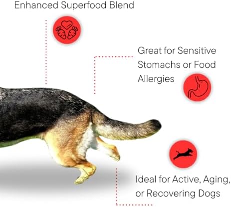 Dr. Kellyann Bone Broth Meal Topper for Dogs | Grass-Fed Beef Recipe | 3g Collagen | Supports Healthy Digestion & Joints | Shiny Coat | Grain Free | 6.60 oz