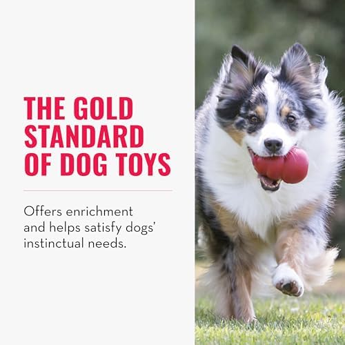 KONG Classic Stuffable Dog Toy, Natural Rubber Chew, for Extra Small Dogs