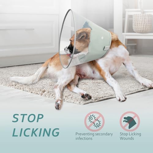 Dog Cone Collar with Snap-on Detachable Soft Liner, Lightweight Transparent Elizabethan Alternative to Stop Licking, for Spay Neuter Surgery Recovery, for Medium Large Small Dogs (Green,2XL)
