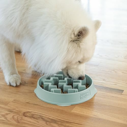 Outward Hound Fun Feeder Slo Bowl Dog Slow Feeder, Notch, Sage, 11.8"