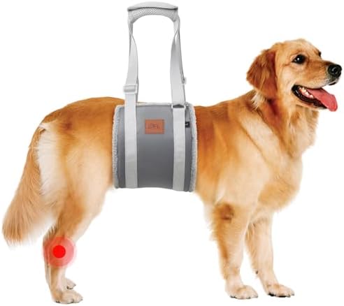 Adjustable Dog Sling for Large Dogs Hind Leg Support Weak Legs Mobility Aid
