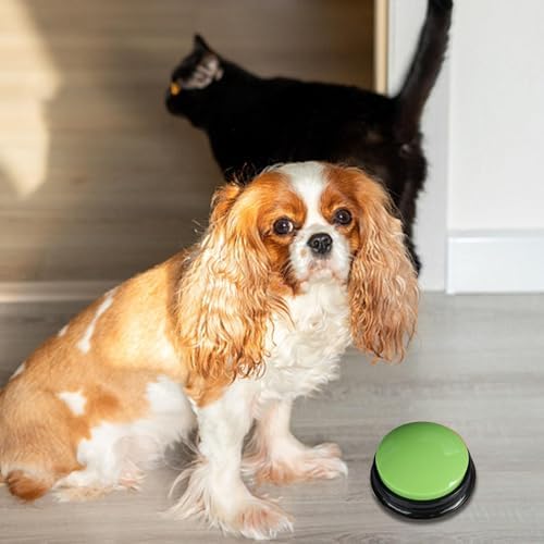 Dog Button – 8.8×4.2cm | Dog Buzzer | Pet Training Bell | Interactive