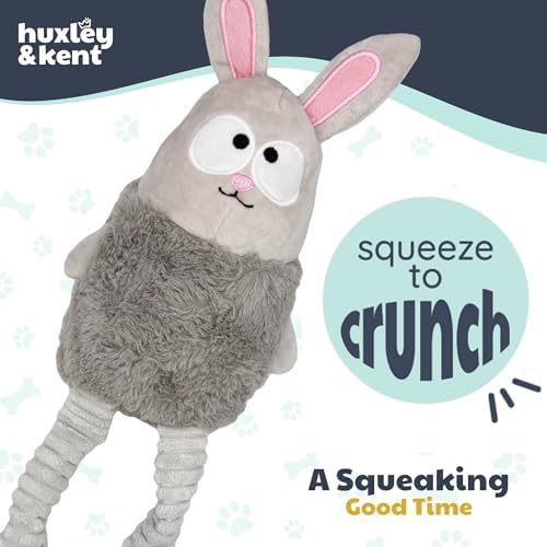 Huxley & Kent Funny Dog Toy w/Squeaker – Power Plush Squeaky Dog Toys for Small, Medium & Large Dogs – Soft Stuffed Animal for Indoor Play & Fetch - Squeak to Crunch - Lankies Binky Bunny, Small