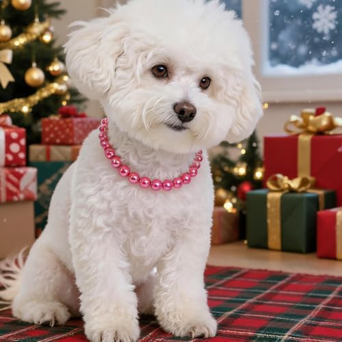 Iridescent Hot Pink Beaded Dog Collar, Fashion Pet Necklace for Medium Dog