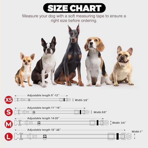 azuza Airtag Dog Collar, Large Dog Collar with Airtag Holder, Dark Blue, L