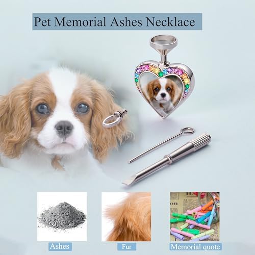 Fanery Sue Pet Ashes Necklace for Dog Cat, Custom Photo & Text