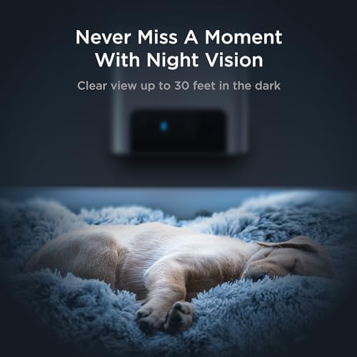 Petcube Bites 2 Lite - WiFi Pet Camera with Treat Dispenser & App