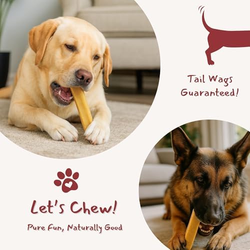 Majestic Pet Himalayan All-Natural Cheese Dog Chews - Long Lasting Dental Chew for Dogs - Healthy Pet Treats with Beneficial Ingredients (Dental & Bone Support, XL, 1 Pack)