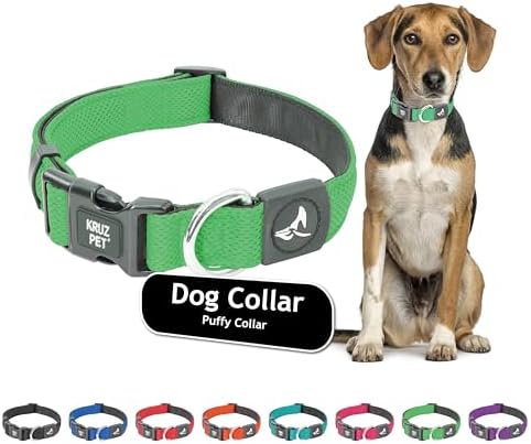 Dog Collar for Medium Dogs (Width- 3/4", Length - 17"-21.5") | Adjustable Padded Mint Green Dog Collar with Heavy Duty D-Ring | Soft Comfortable Fit for Medium Dogs | (Mint Green, Medium)
