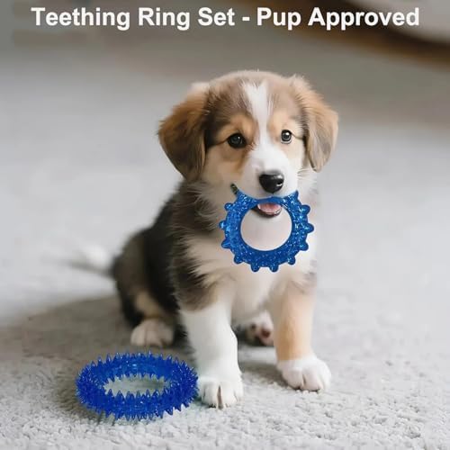 20 Pack Luxury Puppy Teething Chew Toys for Small Dogs and Puppies