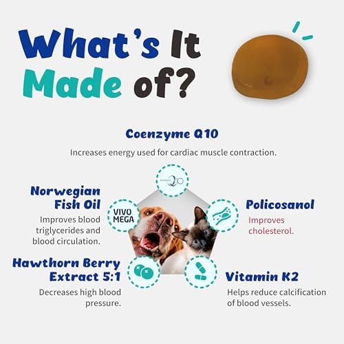 Heart Alive Liquid Cardiovascular System Health for Dogs and Cats-Norwegian Fish Oil, Coenzyme Q10, Vitamin K2, Policosanol, Hawthorn Berry Extract, Vegan Bacon Flavor (60ml)