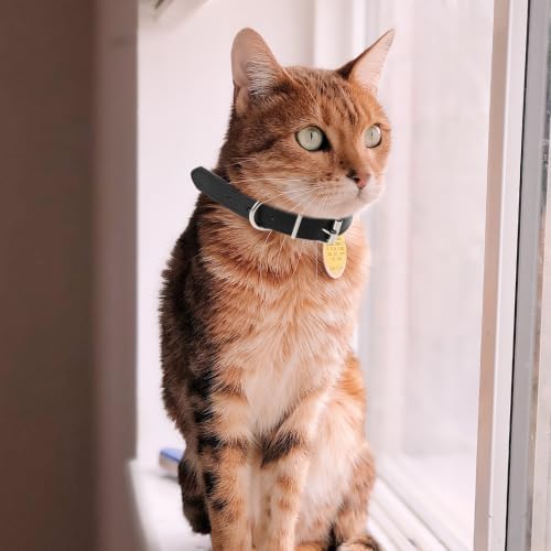 ibasenice 4pcs Pu Leather Dog Collar for Small Dogs and Puppies with Breathable Design and Metal Buckle, Adjustable Neck Collar for Training Sessions and Parties, Versatile Compatibility