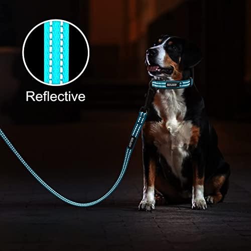 azuza Reflective Dog Collar, Neoprene Padded Medium Dog Collar, M