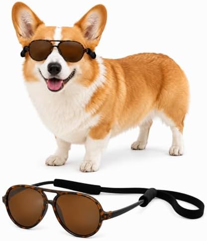 G010 Dog Pet Costume Prop Aviator Sunglasses Medium Breeds 20-40 lbs (Tortoise Brown)