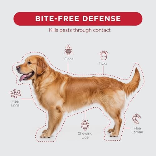 FirstAct Plus Flea Treatment for Dogs, Extra Large Dogs 89+ lbs, 6 Doses, Same Active Ingredients as Frontline Plus Flea and Tick Prevention for Dogs