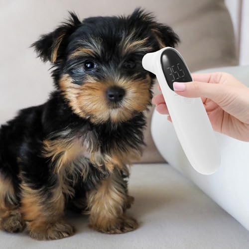 Non Contact Rechargeable Pet Ear Thermometer for Cats, Digital Temperature