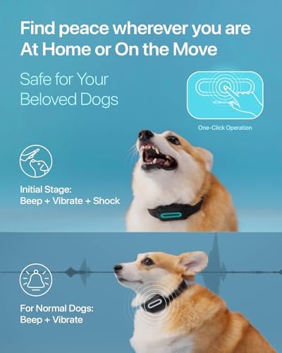 Dog Bark Collar Shock Vibration Beep: High Sensitive Barking Control Collar with Replaceable Battery for Small Medium Large Dogs (Small)