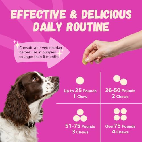 Furrolika 60 Ct. Multivitamin Soft Chews, USA Made, Joint & Immune Support