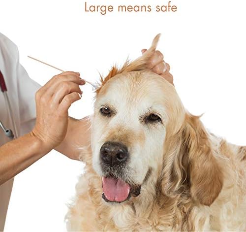 GLADOG 6 Inch Professional Big Cotton Buds for Dogs (Medium Size), Specially Designed Dog Cotton Buds with Durable Bamboo Handle