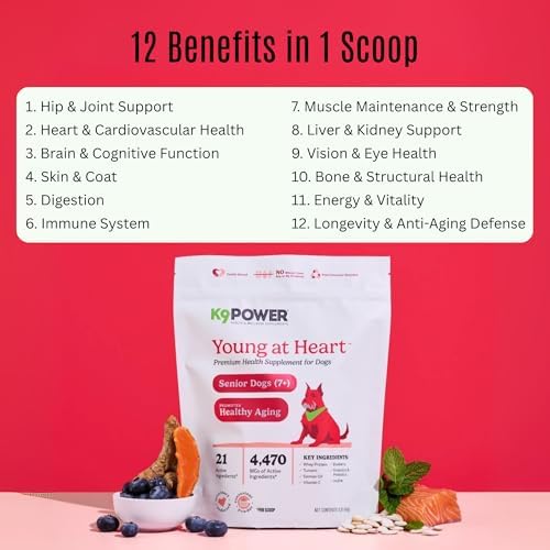 K9Power Young at Heart – Senior Dog Supplement for Longevity & Vitality – Supports Joints, Brain, Heart, Digestion, Skin & Energy – Amino Acids, Vitamins, Minerals, CoQ10, Omega 3s, Turmeric