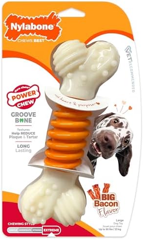 Nylabone Power Chew Dental Groove Bone Dog Chew Toy, Bacon Flavor, Large
