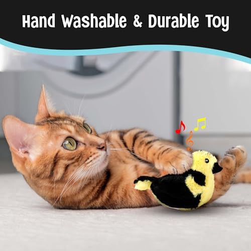 SPOT Song Birds Cat Toy- Touch Activated Singing Catnip Toy Mimics Real Bird Songs, Battery Operated Toy Satisfies Cat's Natural Urge to Hunt - One 5" Song Bird, Assorted Colors