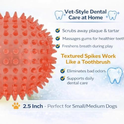 Squeaky Spiky Dog Ball for Teeth Cleaning & Gum Massage 2.5 Inch Small Medium Dogs Red | Spiny TPR Rubber Chew Toy for Fetch Play Interactive Bouncy Dental Ball Durable BPA Free Nontoxic Floats