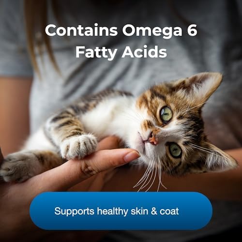 PetAg KMR Healthy Development - 14 oz, Pack of 3 - Great Tasting Nutritional Supplement for Cats and Weaning Kittens