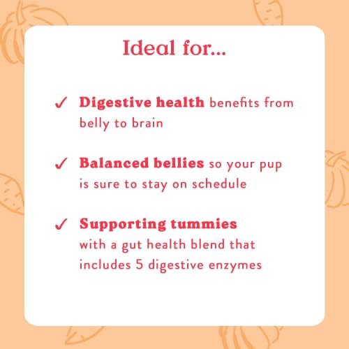 Bocce's Bakery Probiotic Supplement Chews, Pumpkin & Sweet Potato (60 ct)