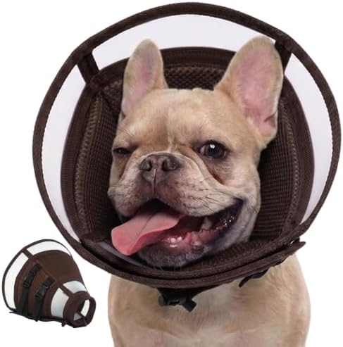 Soft Dog Recovery Cone Collar – Adjustable Transparent E-Collar Alternative for Large Dogs After Surgery | Anti-Lick, Soft Padded Neck, Comfortable Pet Recovery Cone for Eating & Sleeping, L