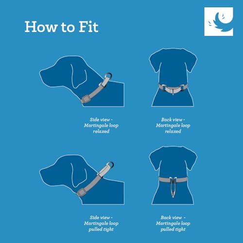 RC Pets 1-1/2 Inch All Webbing Martingale Training Dog Collar, Medium, Watermelon