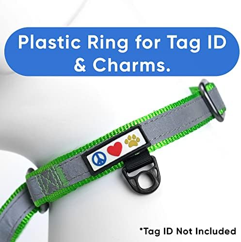 Pawtitas Personalized Dog Collar Martingale Dog Collar with Name Phone Number Reflective Martingale Dog Collar Customized Collar for Large Dogs | Green Custom Dog Collars for Large Dogs