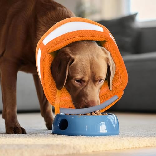 Dog Cone Alternative for Small Dogs to Stop Licking | Adjustable Recovery E-Collar for After Surgery & Wounds, Lightweight & Comfortable Elizabethan Protective Cone (Orang, M)