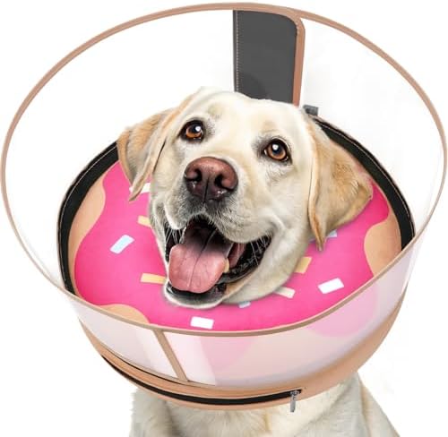 Inflatable Dog Cone with Anti-Licking Clear Shield, Fits Small Dogs