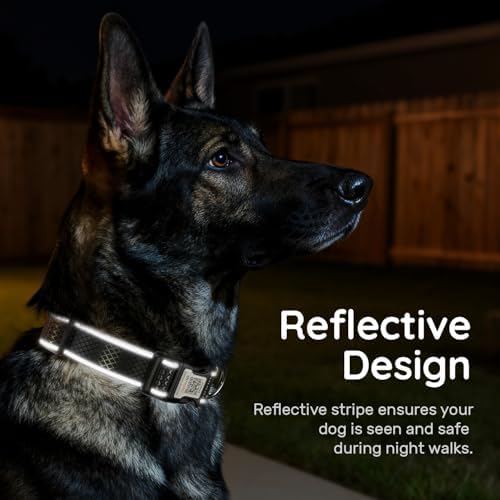 Reflective Dog Collar with QR Code Tag, Black, S (9.8"-15.7")