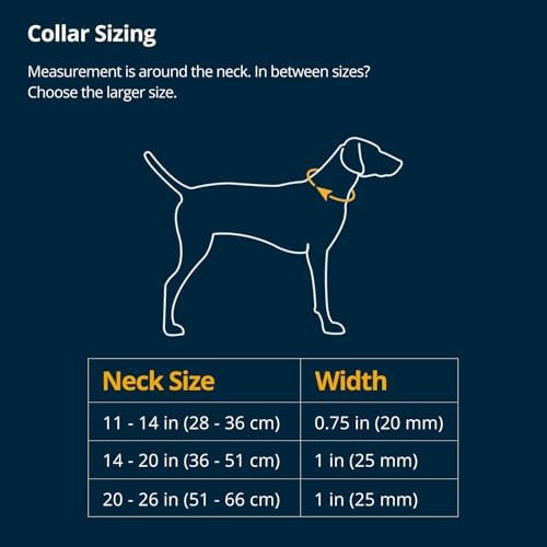 Ruffwear, Ridgeline Dog Collar, Magnetic Buckle, Obsidian Black, 11"-14"
