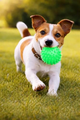 Squeaky Spiky Dog Ball for Teeth Cleaning & Gum Massage 2.5 Inch Small Medium Dogs Green | Spiny TPR Rubber Chew Toy for Fetch Play Interactive Bouncy Dental Ball Durable BPA Free Nontoxic Floats