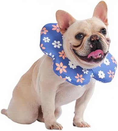 PetWarm Dog Recovery Collar, Recovery Collar, Blue Flower Print, L